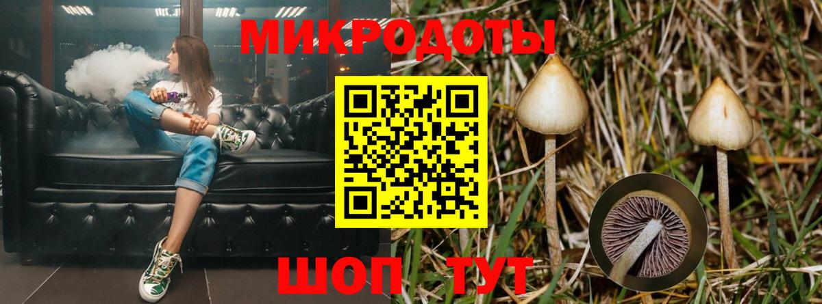Галлюциногенные грибы ЛСД Киселёвск